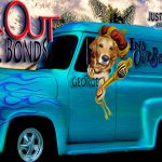 IN & OUT VAN